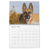 German Shepherd Dog kalender (Feb 2027)