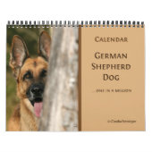 German Shepherd Dog kalender (Hoes)
