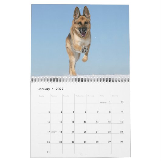 German Shepherd Dog kalender (Jan 2027)