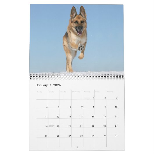German Shepherd Dog kalender (Jan 2026)