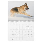 German Shepherd Dog kalender (Jan 2027)
