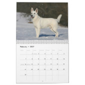 German Shepherd Dog kalender (Feb 2027)