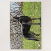 German Shepherd Dog Legpuzzel (Verticaal)