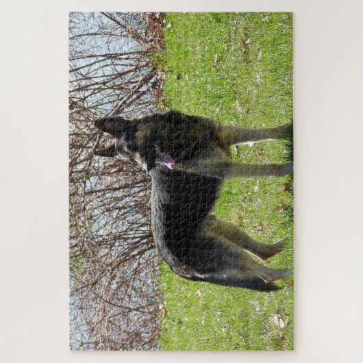 German Shepherd Dog Legpuzzel (Verticaal)