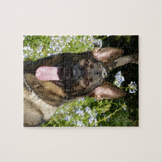 -German Shepherd Dog Legpuzzel (Horizontaal)