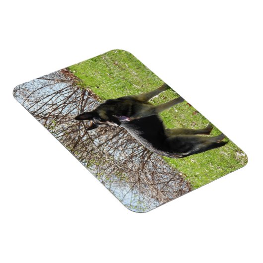 German Shepherd Dog Magneet (Rechterzijde)
