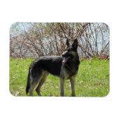 German Shepherd Dog Magneet (Horizontaal)