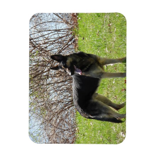 German Shepherd Dog Magneet (Verticaal)