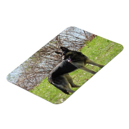 German Shepherd Dog Magneet (Linkerzijde)