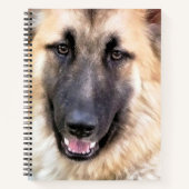 GERMAN SHEPHERD DOG NOTITIEBOEK (Voorkant)