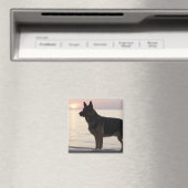 German Shepherd dog op Georgian Bay, Ontario, Magneet (Insitu (Vaatwasser))