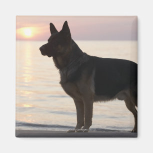 German Shepherd dog op Georgian Bay, Ontario, Magneet