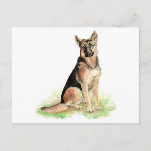 German Shepherd, Dog, Pet, Animal Briefkaart