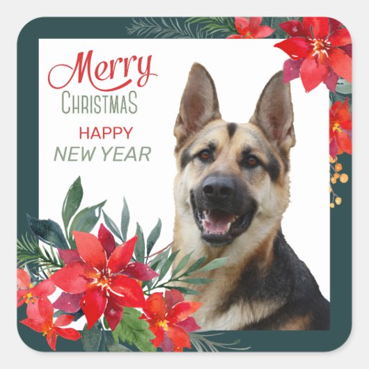 German Shepherd Dog Poinsettia Bouquet Kerstmis Vierkante Sticker (Voorkant)