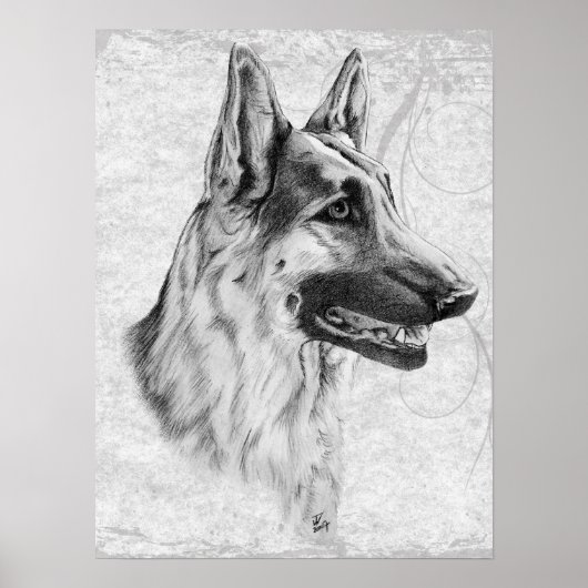 German Shepherd Dog Poster (Voorkant)