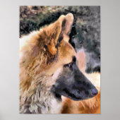 GERMAN SHEPHERD DOG POSTER (Voorkant)