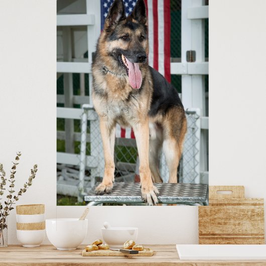 German Shepherd Dog Poster (Keuken)
