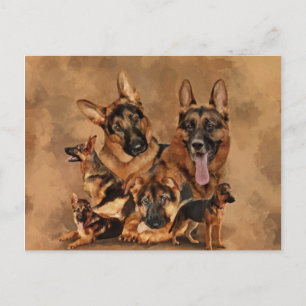 German Shepherd Dog - puppy, jong, volwassen Feestdagenkaart