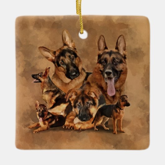 German Shepherd Dog - puppy, jong, volwassen Keramisch Ornament (Voorkant)