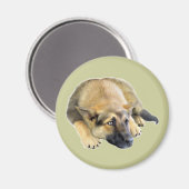 German Shepherd Dog Puppy Magneet (Voorkant / Achterkant)