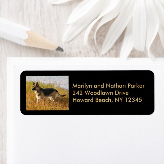 German Shepherd Dog Return Label (Insitu)