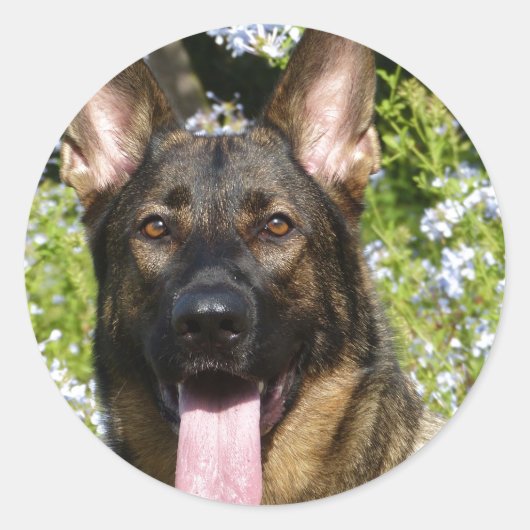 German Shepherd Dog Sticker (Voorkant)