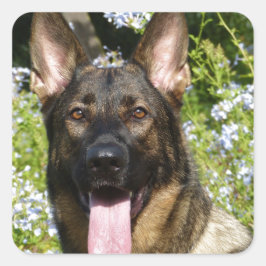 German Shepherd Dog Sticker