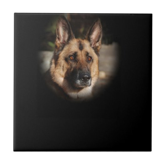 German Shepherd Dog Tegeltje (Voorkant)