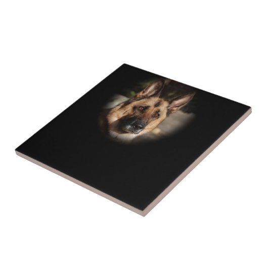 German Shepherd Dog Tegeltje (Zijkant)