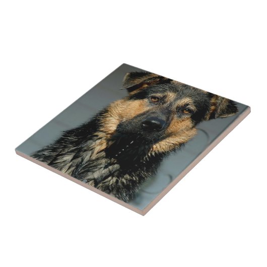 German Shepherd Dog Tile Tegeltje (Zijkant)