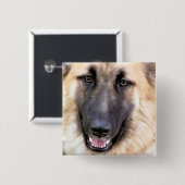 GERMAN SHEPHERD DOG VIERKANTE BUTTON 5,1 CM (Voorkant /achterkant)