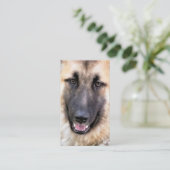 GERMAN SHEPHERD DOG VISITEKAARTJE (Staand voorkant)
