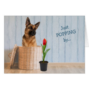 German Shepherd Dog Wicker Basket Birthday Card