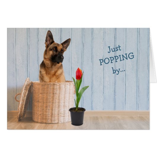 German Shepherd Dog Wicker Basket Birthday Card (Voorkant Horizontaal)