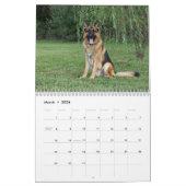 German Shepherd Dogs and Puppies Calendar Kalender (Mar 2026)