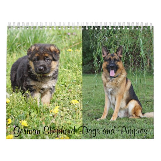 German Shepherd Dogs and Puppies Calendar Kalender (Hoes)