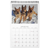 GERMAN SHEPHERD DOGS - Eén pagina-kalender Kalender (Jan 2027)