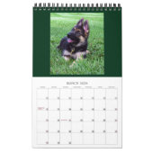GERMAN SHEPHERD DOGS - Eén pagina-kalender Kalender (Mar 2026)
