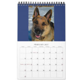 GERMAN SHEPHERD DOGS - Eén pagina-kalender Kalender (Feb 2027)
