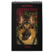 GERMAN SHEPHERD DOGS - Eén pagina-kalender Kalender (Hoes)