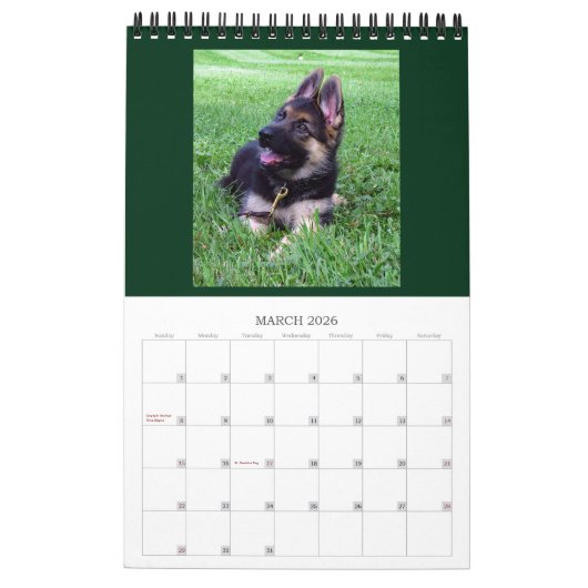 GERMAN SHEPHERD DOGS - Eén pagina-kalender Kalender (Mar 2026)