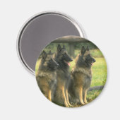 German Shepherd Dogs Magneet (Voorkant / Achterkant)