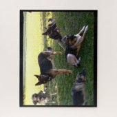 GERMAN SHEPHERD DOGS puzzel Legpuzzel (Verticaal)