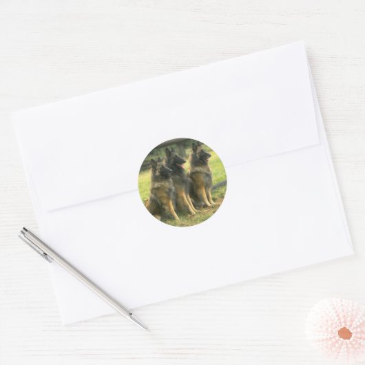 German Shepherd Dogs Ronde Sticker (Envelop)