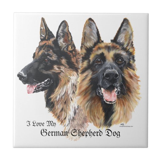 German Shepherd Dogs Tegeltje (Voorkant)