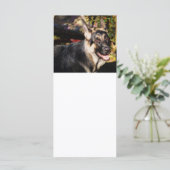 German Shepherd door Shirley Taylor (Staand voorkant)