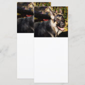 German Shepherd door Shirley Taylor (Voorkant / Achterkant)