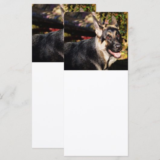 German Shepherd door Shirley Taylor (Voorkant / Achterkant)