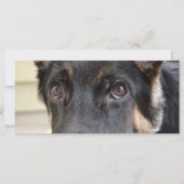 German Shepherd door Shirley Taylor (Achterkant)