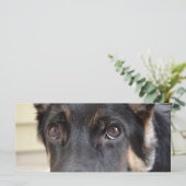 German Shepherd door Shirley Taylor (Staand voorkant)
